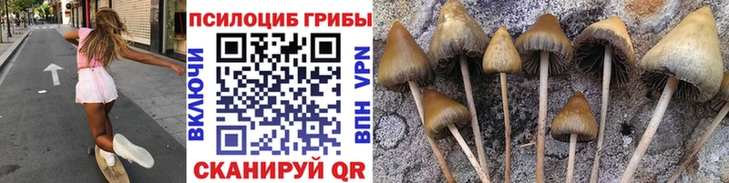 Псилоцибиновые грибы GOLDEN TEACHER  Старая Купавна 